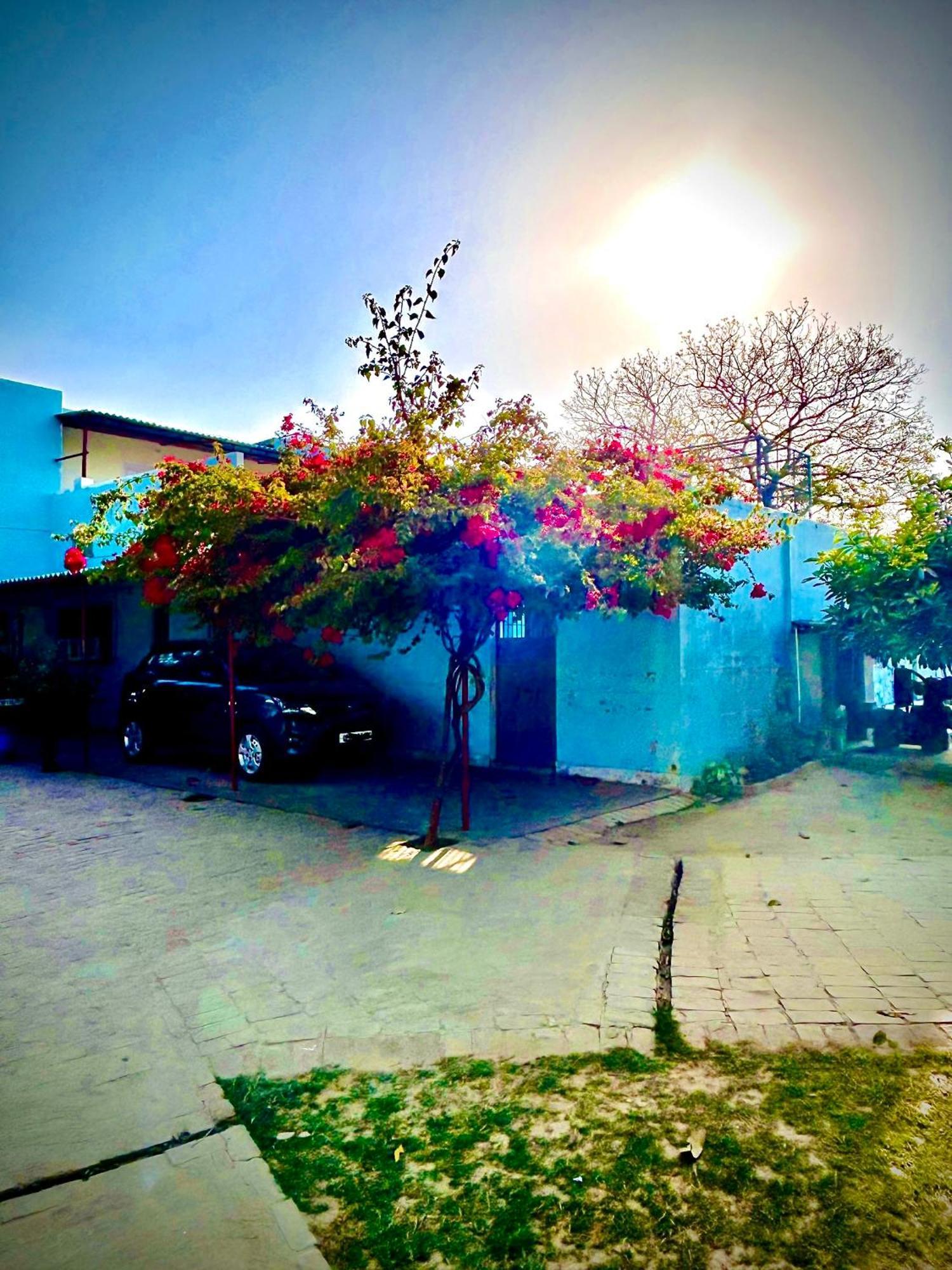 Вилла Gooseberry Garden Ayodhya Экстерьер фото