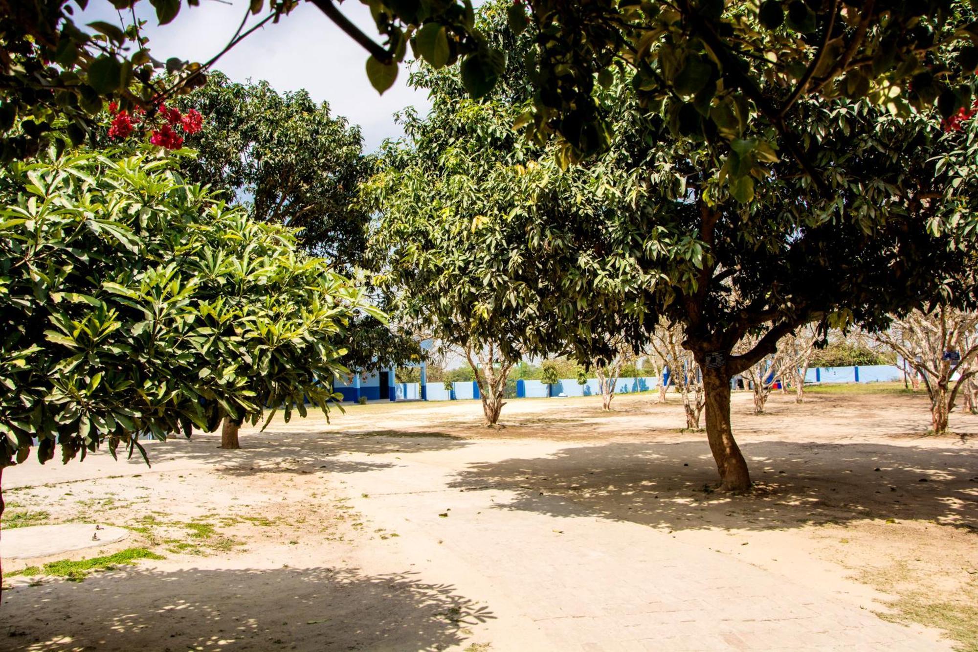 Вилла Gooseberry Garden Ayodhya Экстерьер фото